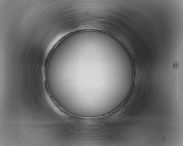 X0000110730796200906121309