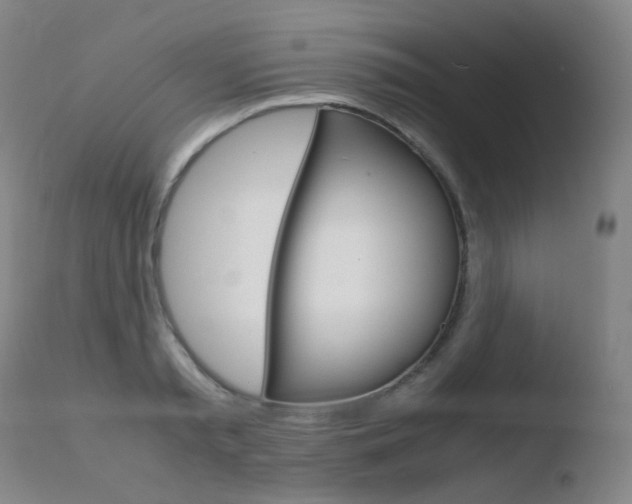 X0000110730797200906121309