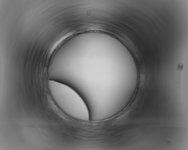 X0000110730798200906121309