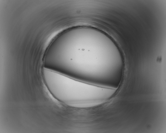 X0000110730799200906121309