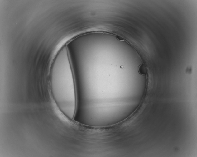 X0000110730800200906121309