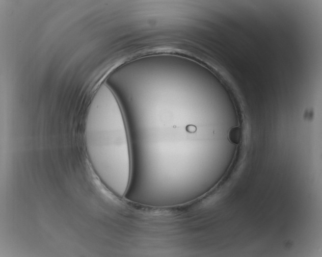 X0000110730801200906121309
