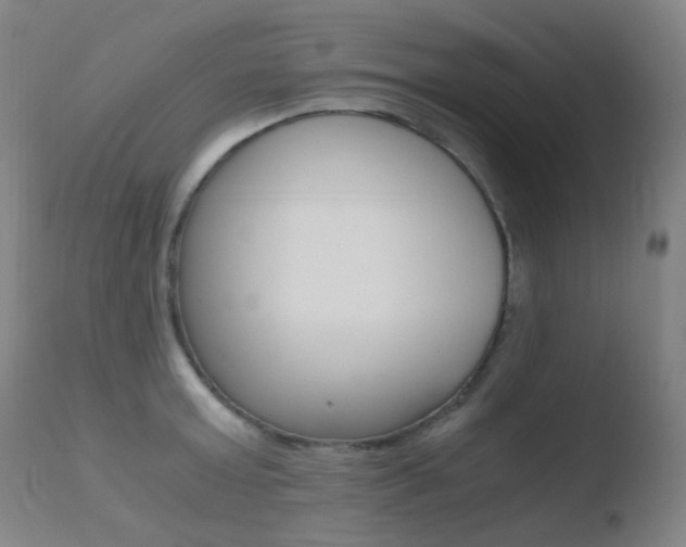 X0000110730803200906121309