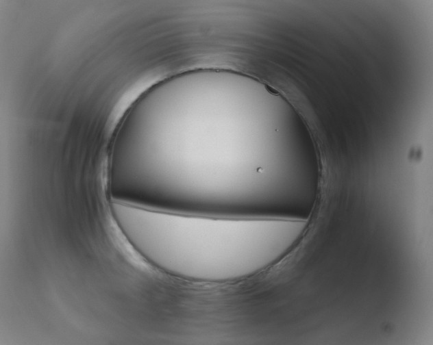 X0000110730804200906121309