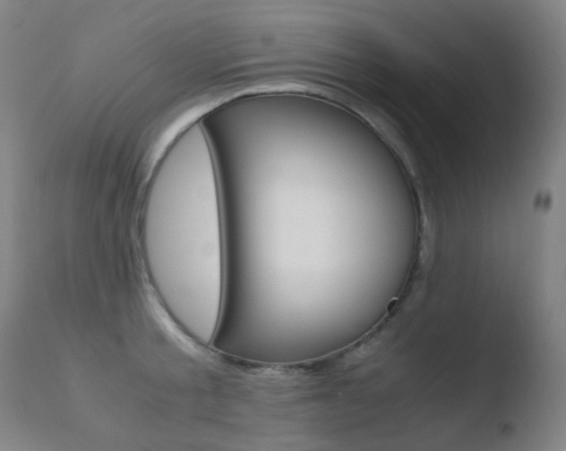 X0000110730805200906121309