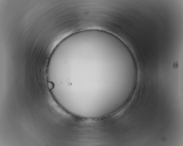 X0000110730806200906121309