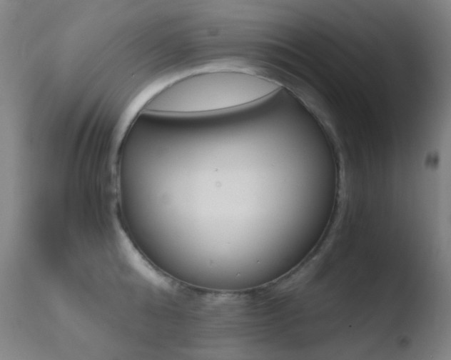 X0000110730808200906121309