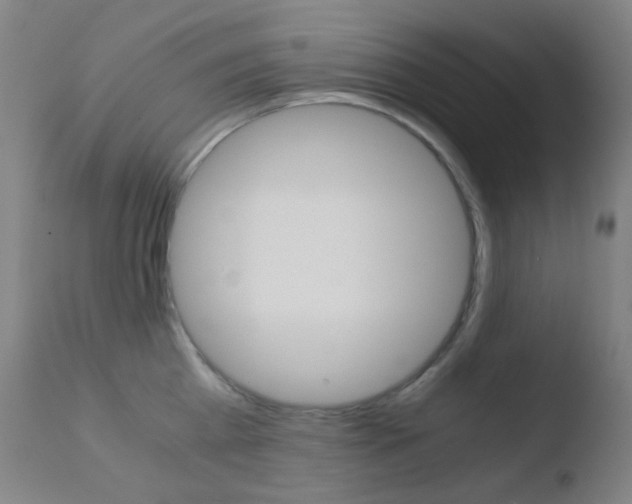 X0000110730809200906121309