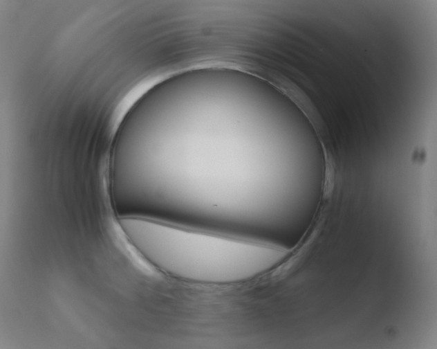 X0000110730812200906121309
