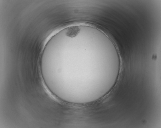 X0000110730813200906121309
