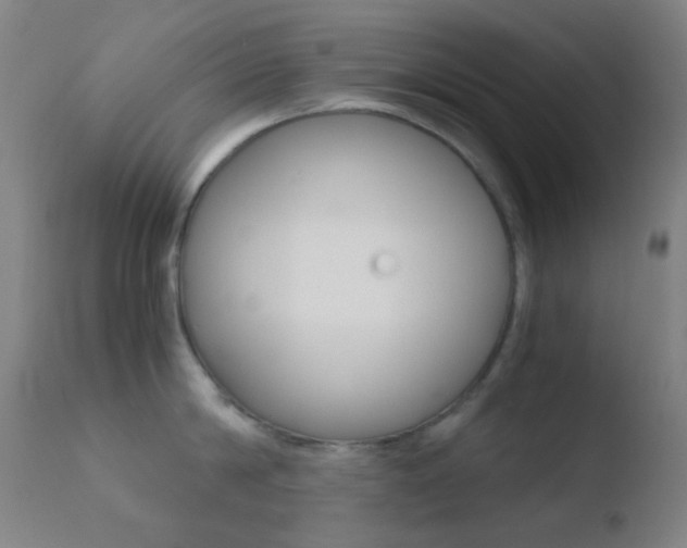 X0000110730814200906121309