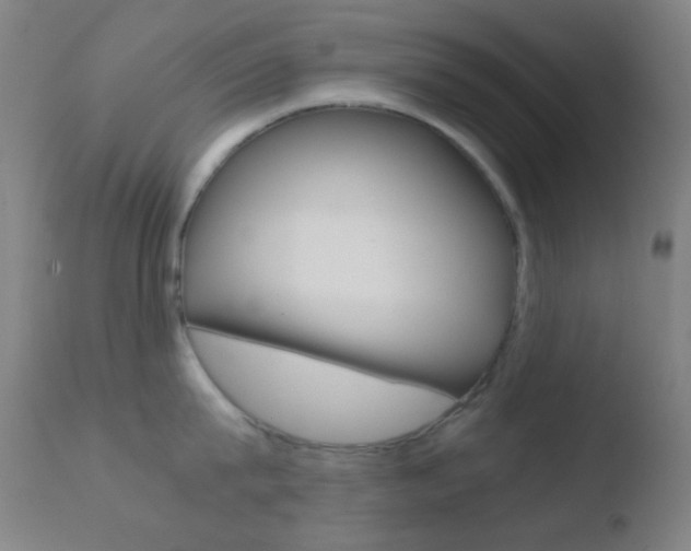 X0000110730815200906121309