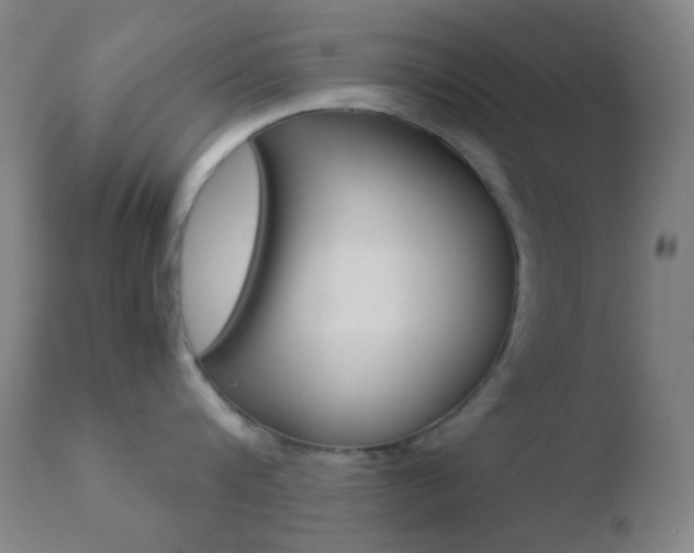 X0000110730816200906121309