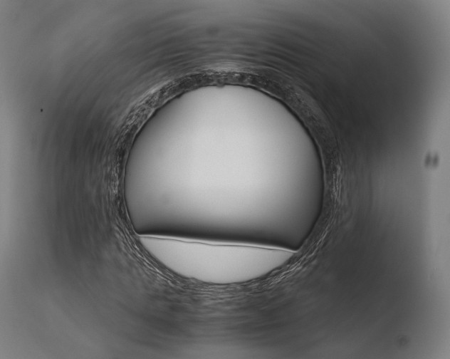 X0000110730821200906121308