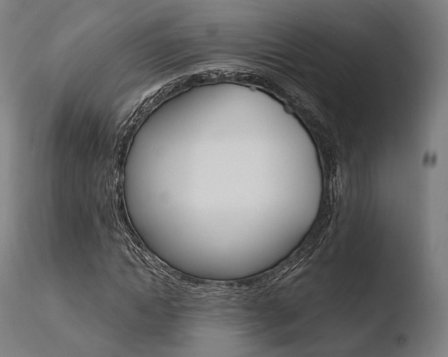 X0000110730822200906121309