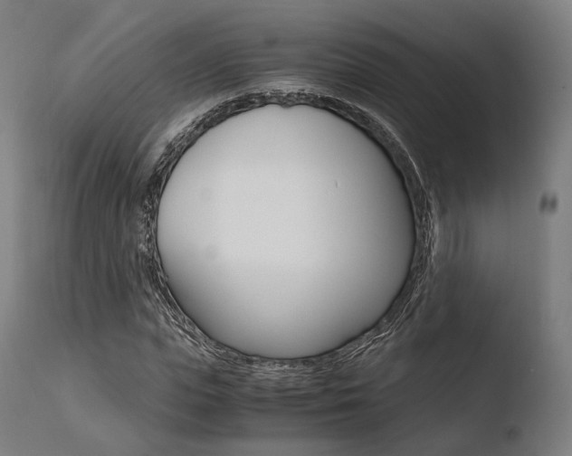 X0000110730823200906121309