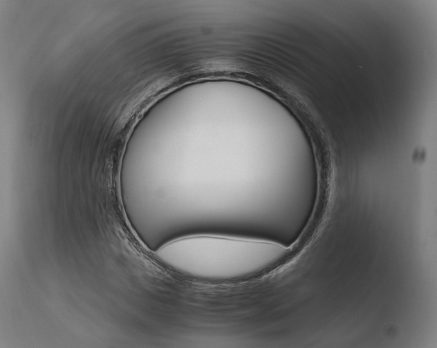 X0000110730825200906121309