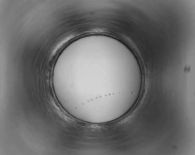 X0000110730827200906121309
