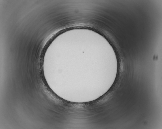 X0000110730828200906121309