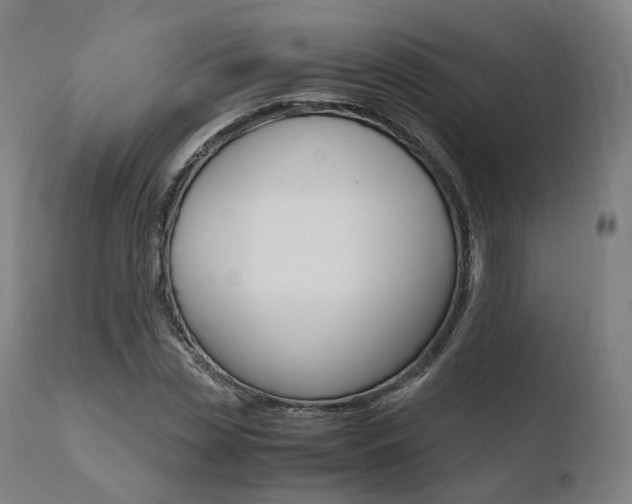 X0000110730829200906121309