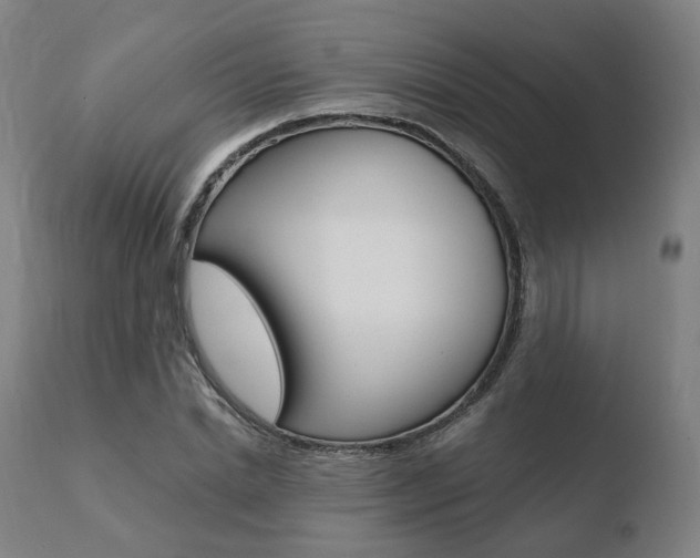 X0000110730830200906121309