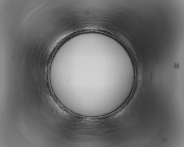 X0000110730831200906121309