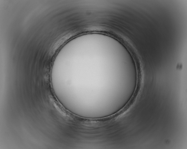 X0000110730833200906121309