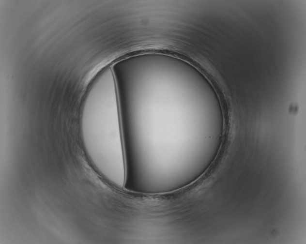 X0000110730834200906121309