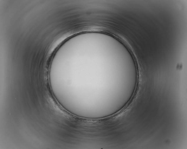 X0000110730835200906121309