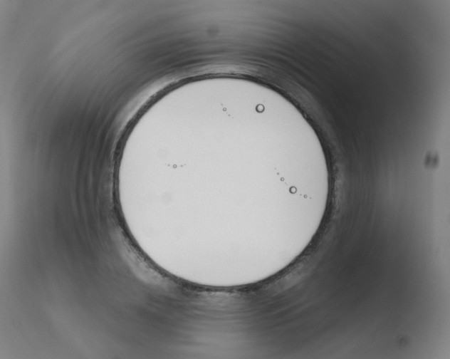 X0000110730836200906121309