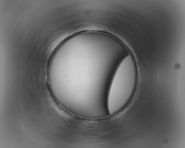 X0000110730837200906121309
