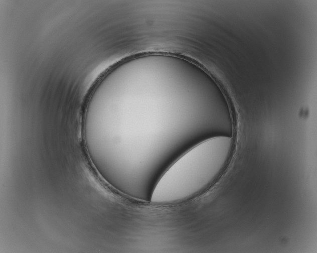 X0000110730838200906121309