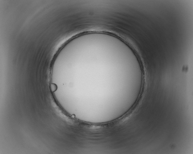 X0000110730839200906121309