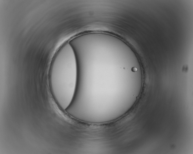 X0000110730840200906121309
