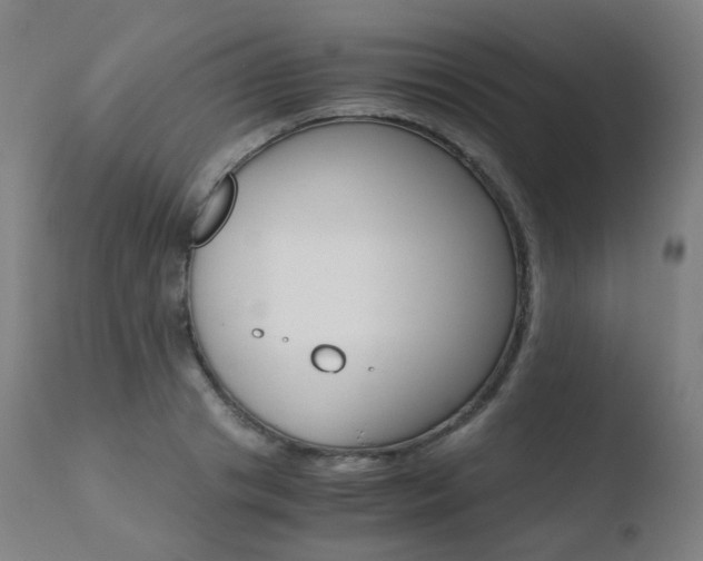 X0000110730841200906121309
