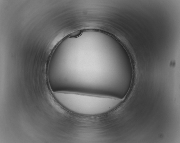 X0000110730842200906121309