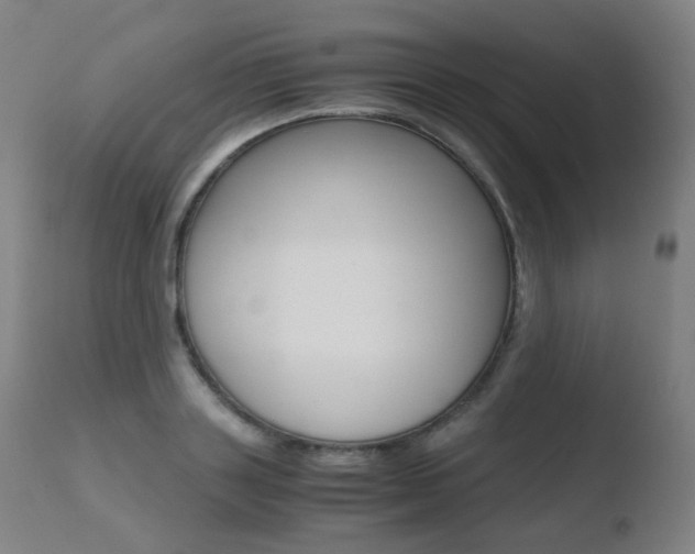 X0000110730843200906121309