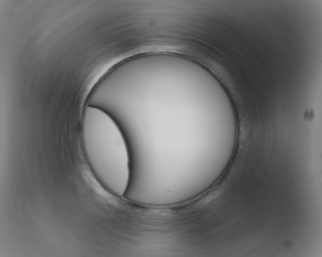 X0000110730844200906121309