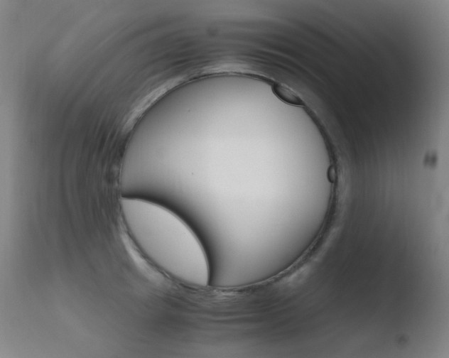 X0000110730849200906121309