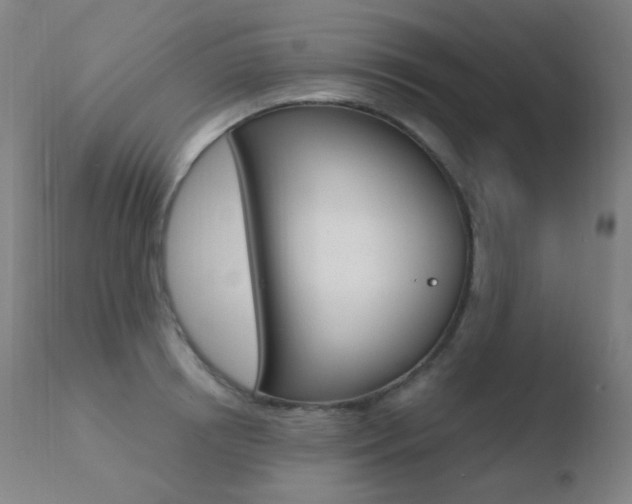 X0000110730850200906121309