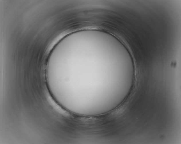 X0000110730851200906121309