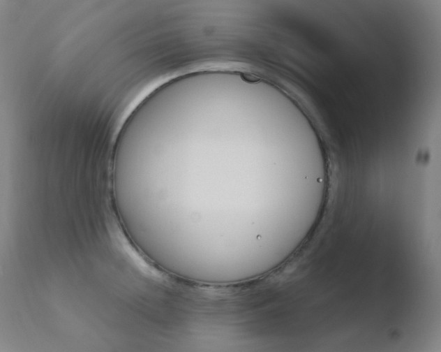 X0000110730852200906121309