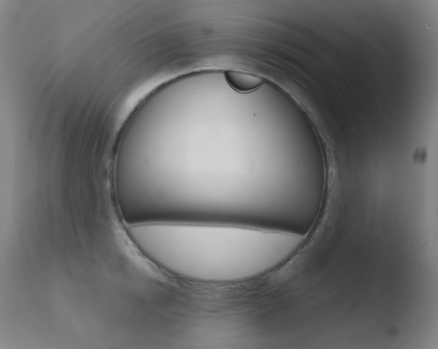 X0000110730854200906121309