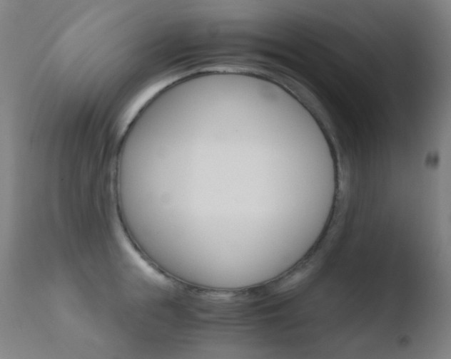 X0000110730855200906121309