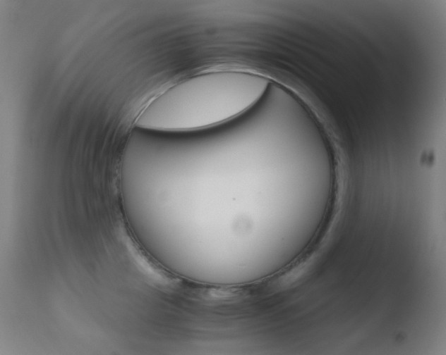 X0000110730857200906121309