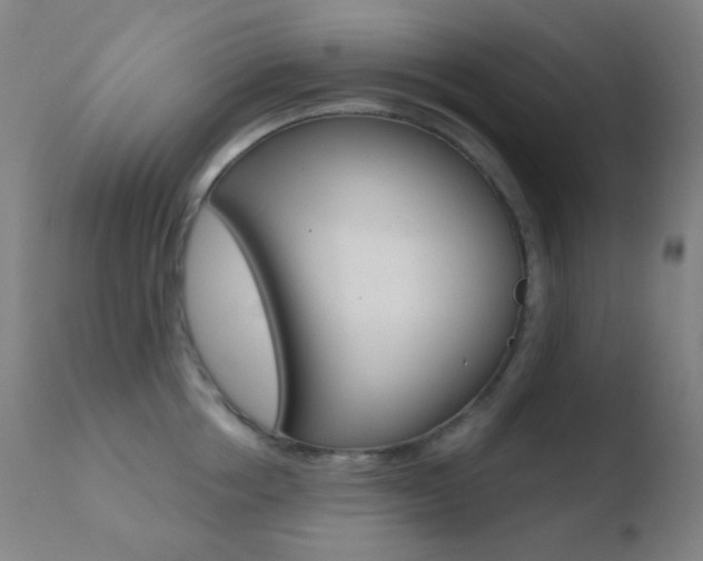 X0000110730858200906121309