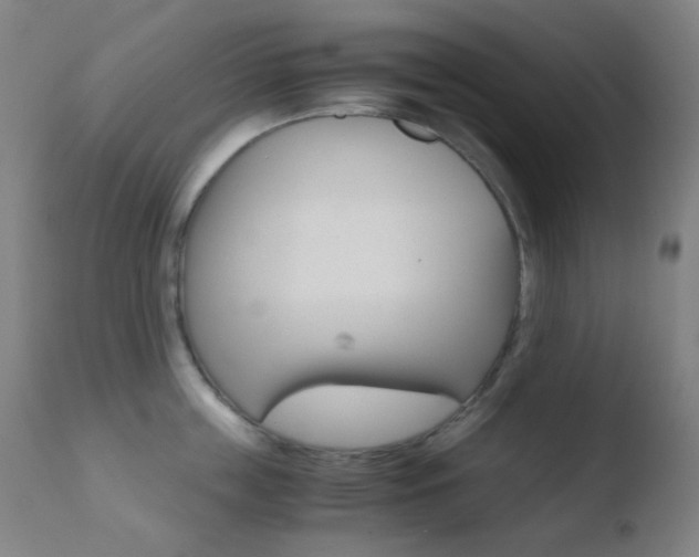 X0000110730859200906121309