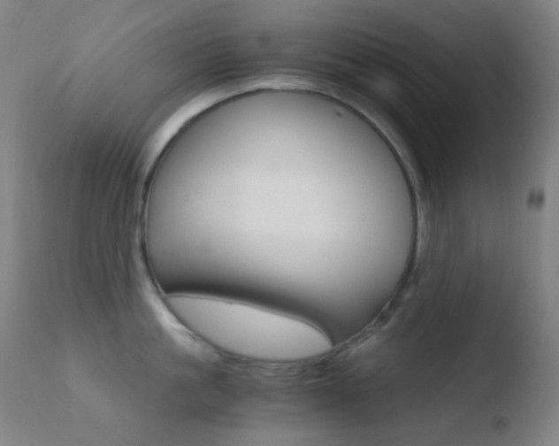 X0000110730861200906121309