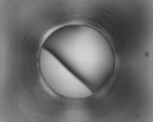 X0000110730862200906121309
