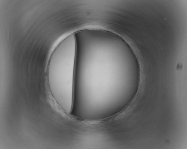 X0000110730864200906121309